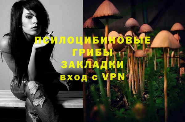 трава Нефтегорск