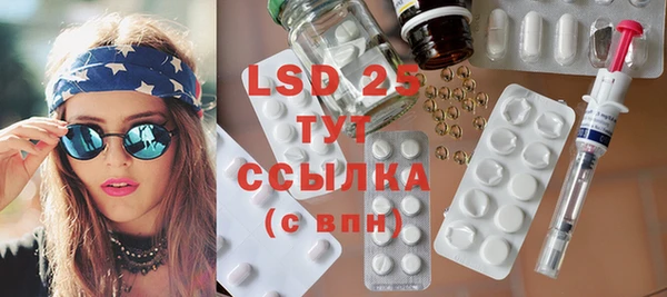 стафф Кущёвская