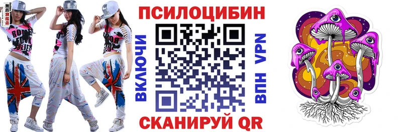 купить наркоту  Чехов  МЕГА ONION  Галлюциногенные грибы Psilocybe 