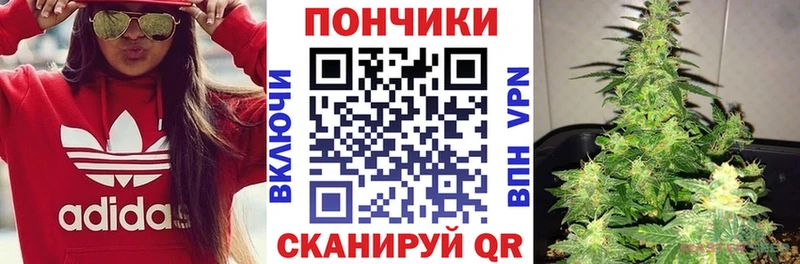 наркота  Чехов  МАРИХУАНА ГИДРОПОН 